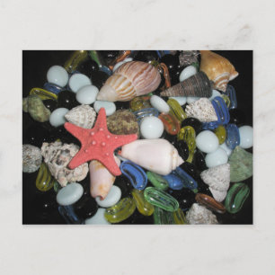Muscheln und Felsen Postkarte