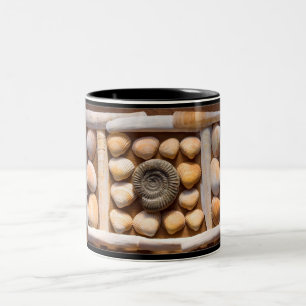 Muscheln und Fossil Zweifarbige Tasse