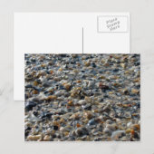 Muscheln und Kies Postkarte (Vorne/Hinten)