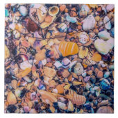 Muscheln und Kiesel Fliese (Vorderseite)