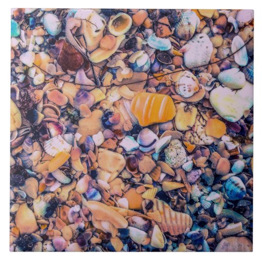 Muscheln und Kiesel Fliese (Vorderseite)