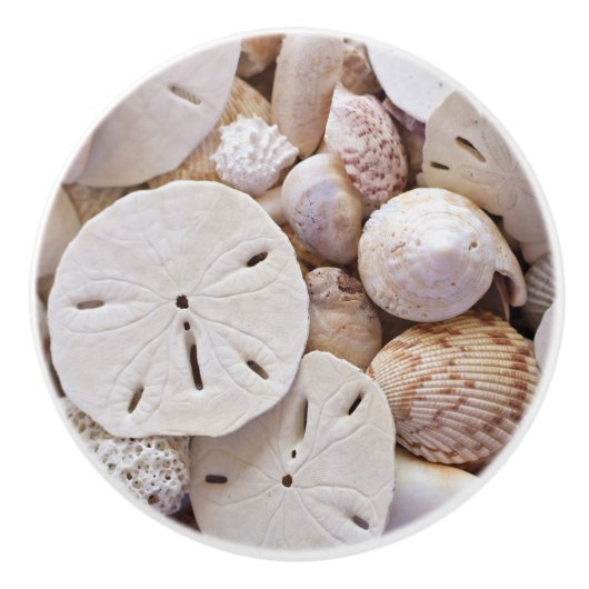 Muscheln und Sand-Dollar Keramikknauf (Vorderseite)