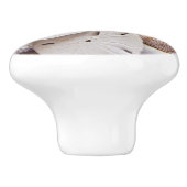 Muscheln und Sand-Dollar Keramikknauf (Seitenansicht)