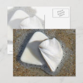 Muscheln und Sand Postkarte (Vorne/Hinten)