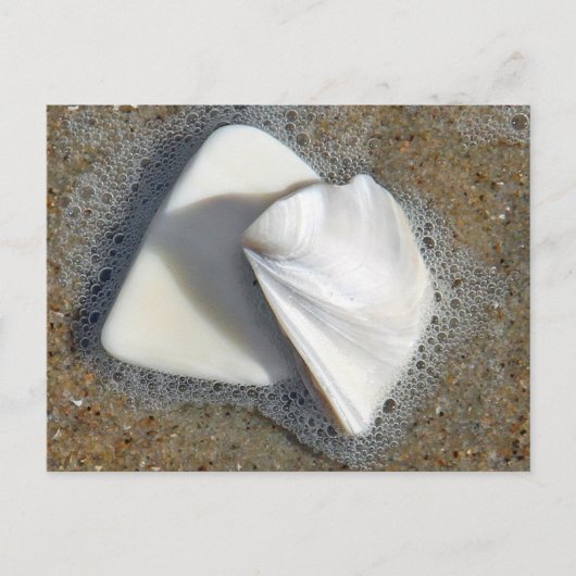 Muscheln und Sand Postkarte (Vorderseite)