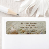 Muscheln und Sandküste am Strand (Insitu)