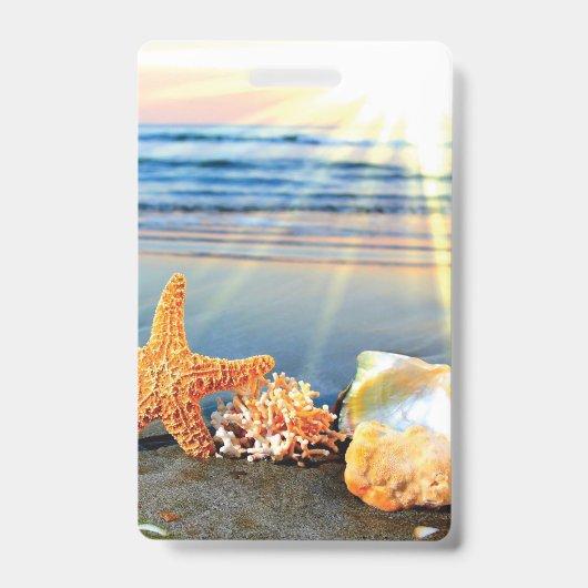 Muscheln und Seestern am Strand Ausweis (Vorderseite)