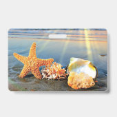 Muscheln und Seestern am Strand Ausweis (Rückseite)