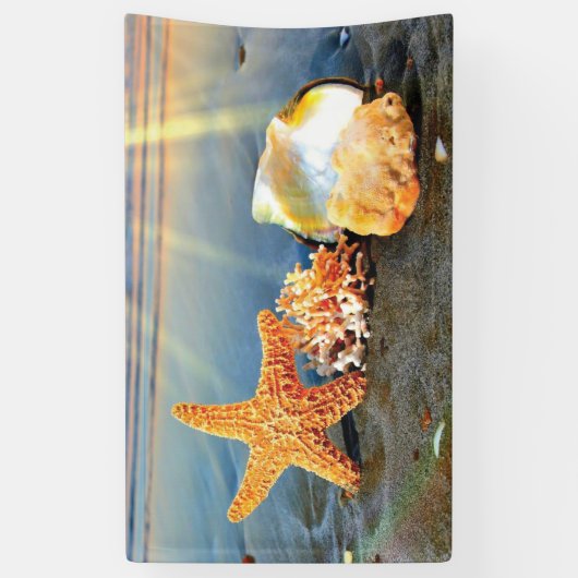 Muscheln und Seestern am Strand Banner (Vertikal)