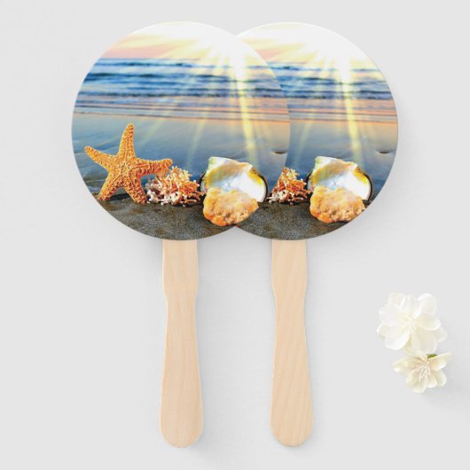 Muscheln und Seestern am Strand Fächer (Vorne und Hinten)