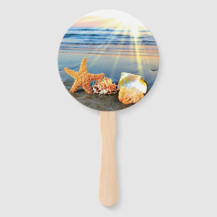 Muscheln und Seestern am Strand Fächer