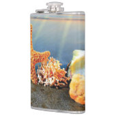 Muscheln und Seestern am Strand Flachmann (Links)