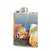 Muscheln und Seestern am Strand Flachmann (Links)