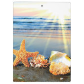 Muscheln und Seestern am Strand Klemmbrett (Rückseite)