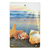 Muscheln und Seestern am Strand Mini Klemmbrett (Rückseite)
