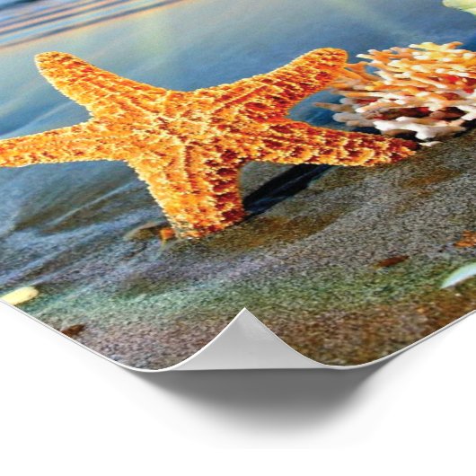 Muscheln und Seestern am Strand Poster (Ecke)