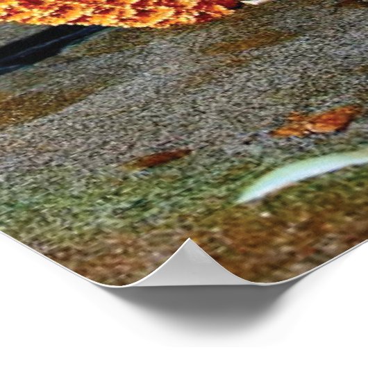 Muscheln und Seestern am Strand Poster (Ecke)