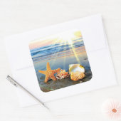 Muscheln und Seestern am Strand Quadratischer Aufkleber (Umschlag)