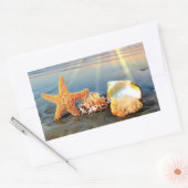 Muscheln und Seestern am Strand Rechteckiger Aufkleber (Umschlag)