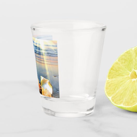 Muscheln und Seestern am Strand Schnapsglas (Rechts)