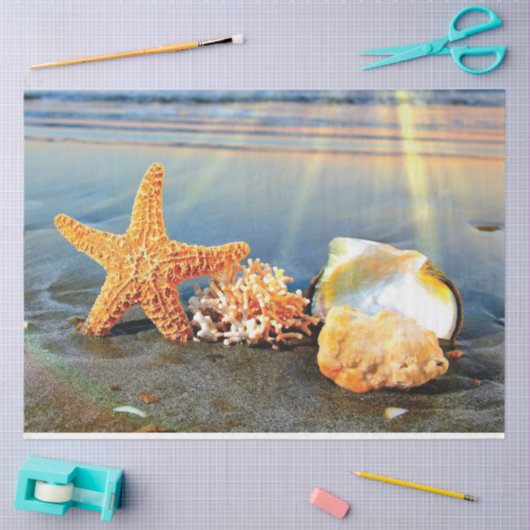 Muscheln und Seestern am Strand Seidenpapier (Basteln)