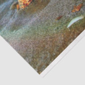 Muscheln und Seestern am Strand Seidenpapier (Ausschnitt)