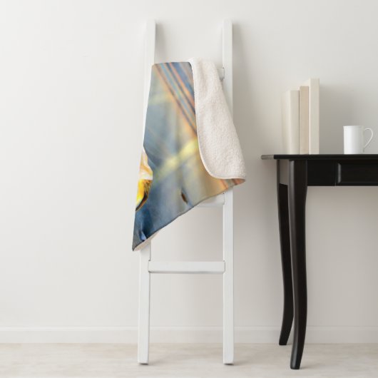 Muscheln und Seestern am Strand Sherpadecke (Beispiel)