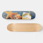 Muscheln und Seestern am Strand Skateboard (Horizontal)