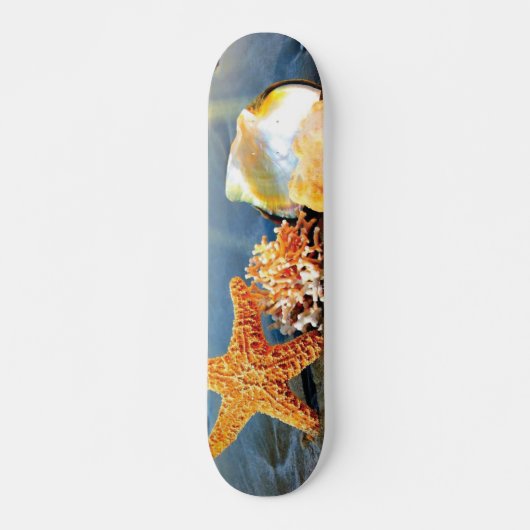 Muscheln und Seestern am Strand Skateboard (Vorne)