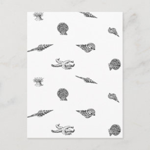 Muscheln und Seestern-Muster Postkarte