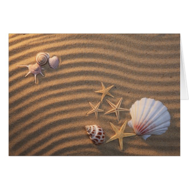 Muscheln und Starfish (Vorderseite (Horizontal))