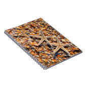 Muscheln und Starfish Notizblock (Rechte Seite)