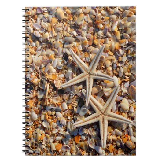 Muscheln und Starfish Notizblock (Vorderseite)
