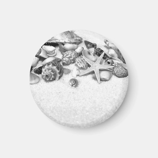 Muscheln und Sternenmagnet Magnet (Vorne)