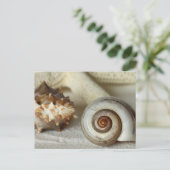 Muscheln und Strandpostkarte Postkarte (Stehend Vorderseite)