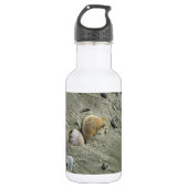 Muscheln und Wasserflasche (Vorderseite)