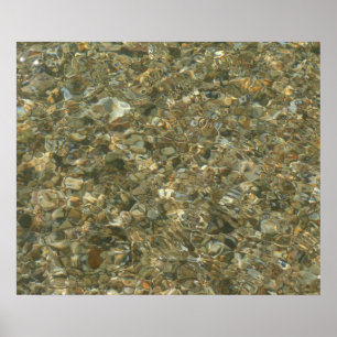 Muscheln unter plätscherndem Wasser Poster