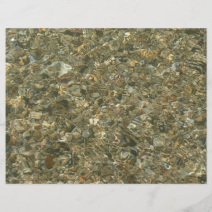 Muscheln unter Wasser