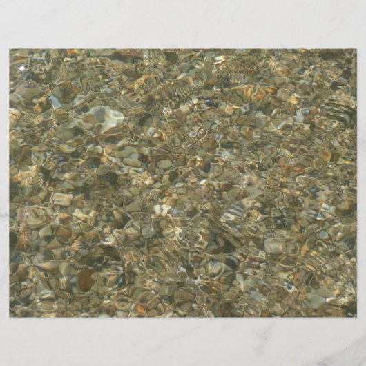 Muscheln unter Wasser (Vorderseite)