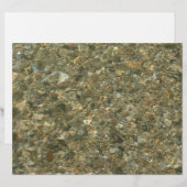 Muscheln unter Wasser (Vorne/Hinten)