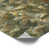 Muscheln unter Wasser Poster (Ecke)