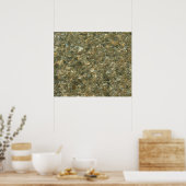 Muscheln unter Wasser Poster (Küche)