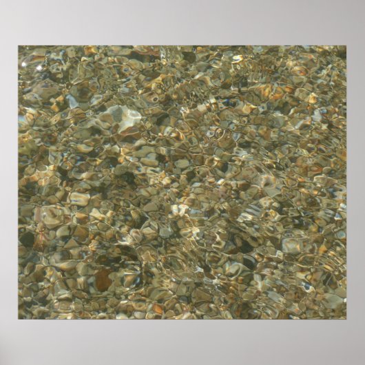 Muscheln unter Wasser Poster (Vorne)
