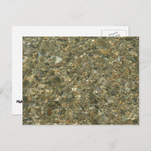 Muscheln unter Wasser Postkarte (Vorne/Hinten)