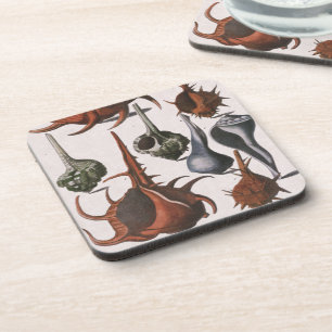 Muscheln, Vintage Meeresmuscheln, Ozean Meereslebe Getränkeuntersetzer