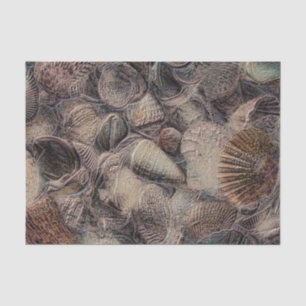 Muscheln Vintage Metallic Ozean Strand Decoupage Seidenpapier