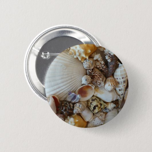 Muscheln von Sanibel Button (Vorne & Hinten)