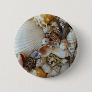 Muscheln von Sanibel Button