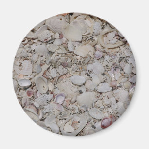 Muscheln von Sanibel Magnet