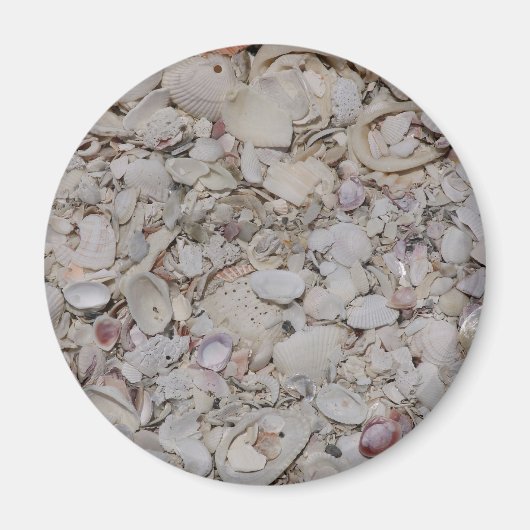 Muscheln von Sanibel Magnet (Vorne)